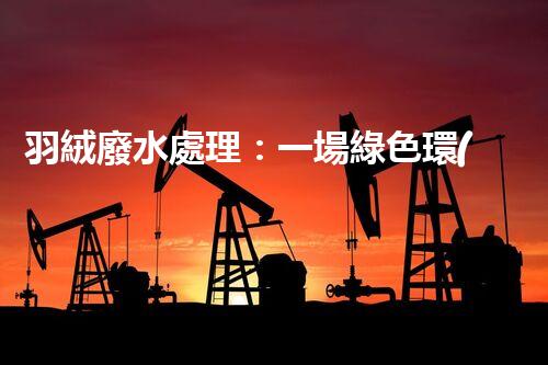 羽絨廢水處理：一場綠色環(huán)保的羽毛盛宴？
